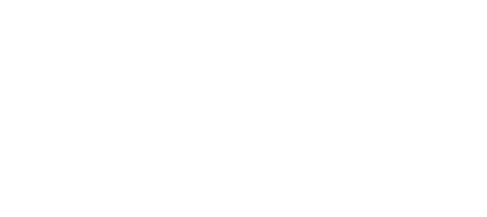 Logo Mach